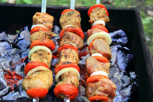 Picture with fried meat, tomato and onion