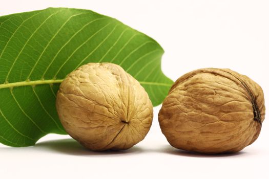 Greek walnut with leaf on white background.