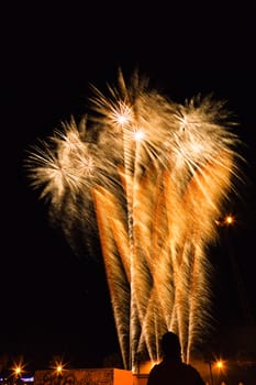 Firework streaks in the night sky