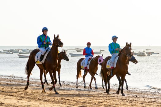 SANLUCAR DE BARRAMEDA, CADIZ, SPAIN - AUGUST 10: Unidentified riders at the start of race horses on Sanlucar de Barrameda beach on August 10, 2011 in Sanlucar de Barrameda, Cadiz, Spain.