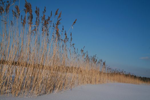 Details of a beautiful snow surface perfect for backgrounds on greeting cards etc.