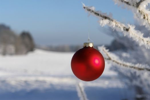 a red bauble in snowy winter landscape