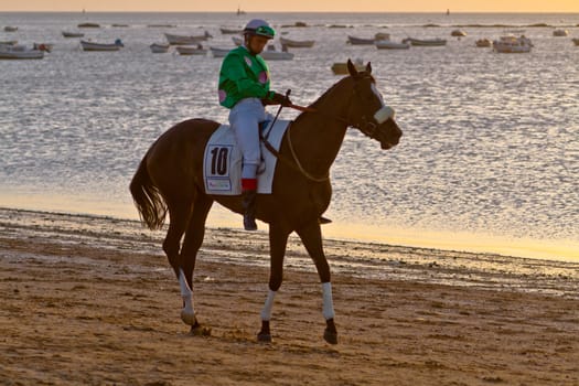 SANLUCAR DE BARRAMEDA, CADIZ, SPAIN - AUGUST 10: Unidentified rider at the start of race horses on Sanlucar de Barrameda beach on August 10, 2011 in Sanlucar de Barrameda, Cadiz, Spain.