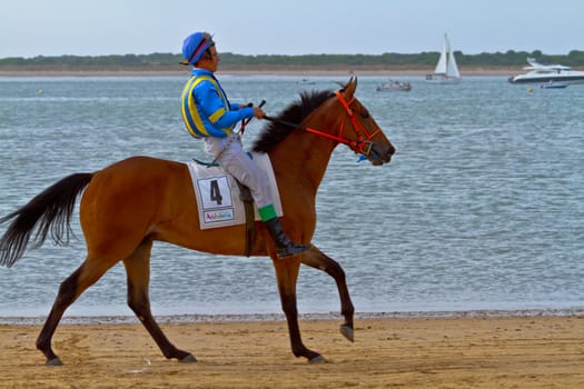 SANLUCAR DE BARRAMEDA, CADIZ, SPAIN - AUGUST 11: Unidentified rider at the start of race horses on Sanlucar de Barrameda beach on August 11, 2011 in Sanlucar de Barrameda, Cadiz, Spain.