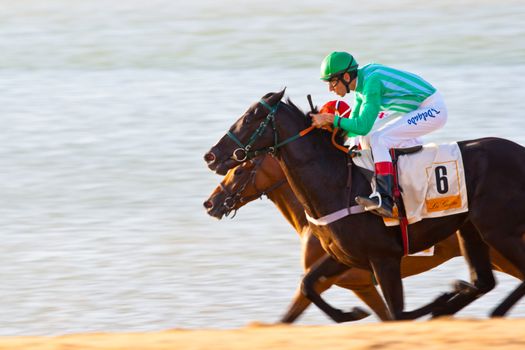 SANLUCAR DE BARRAMEDA, CADIZ, SPAIN - AUGUST 07: Unidentified riders race horses on Sanlucar de Barrameda beach on August 28, 2008 in Sanlucar de Barrameda, Cadiz, Spain.