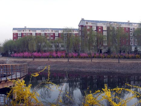 housing area in China
