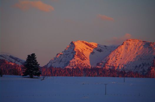 beautiful snowy winter landscape at Christmas time