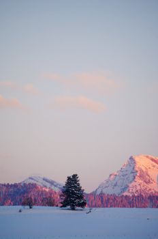 beautiful snowy winter landscape at Christmas time