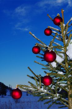 baubles  on a Christmas tree outside in a snowy landscape