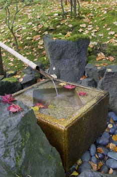 Japanese Bamboo Fountain with Stone Basin in  the Fall