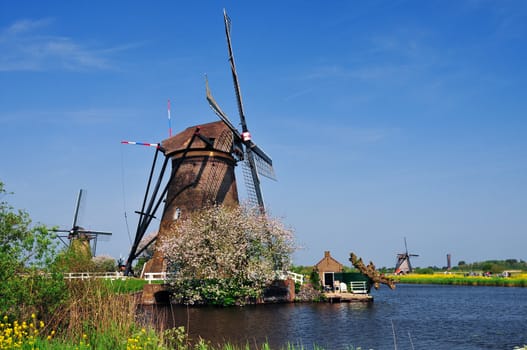 Traditional Dutch A water wind mill, spring, Holland