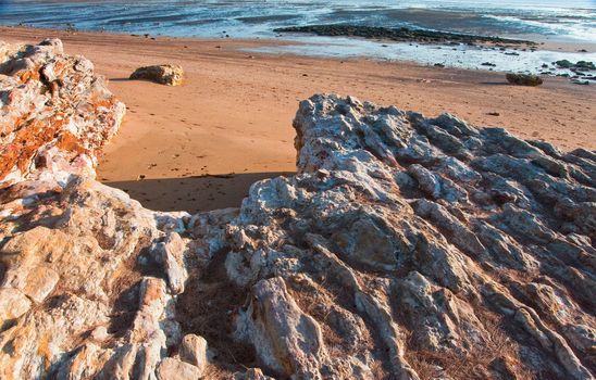 the ocean coast in Darwin, Australia