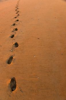 red sand on the Darwin beach, australia