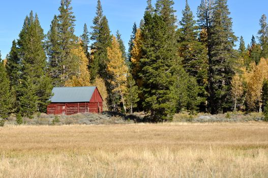 Cabin in the Sierra Nevada Mountains