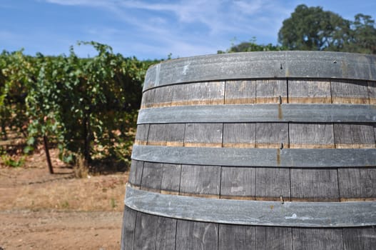 Wine Barrel and Vineyard