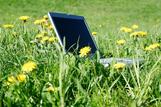 field work laptop outside in the meadow