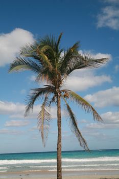 a beautiful tropical island scene in Cuba