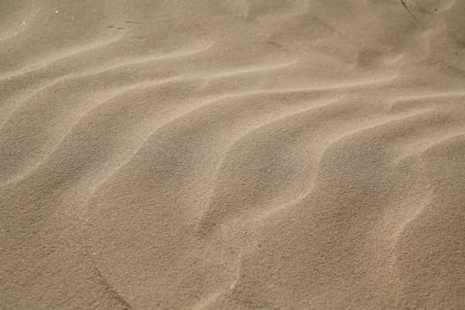 Picture of a sand dune good for background