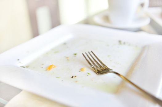 empty dish after dinner 