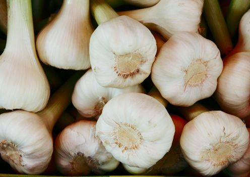 background of fresh intact garlic gloves