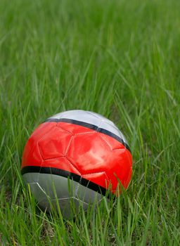 Soccer ball in the green grass