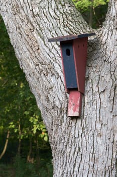 Home made wooden bird house on a tree.