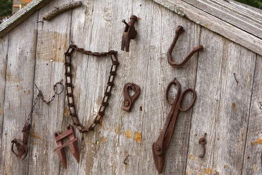 Antique farm tools hanging on the wall of a shed.
