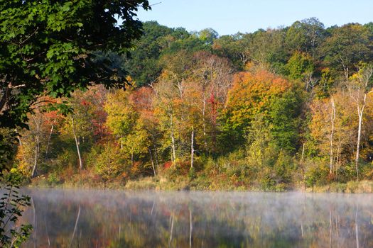 The colors of the forest in early October.