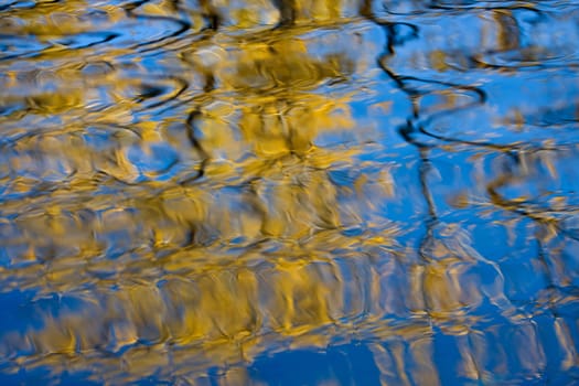 Autumn Colors of a tree and the sky reflect off the water.