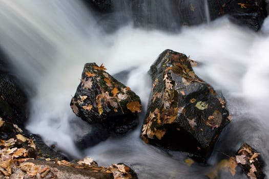 Neat looking rocks and leaves with smooth water running by.