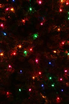 An abstract of some colorful Christmas Tree lights.