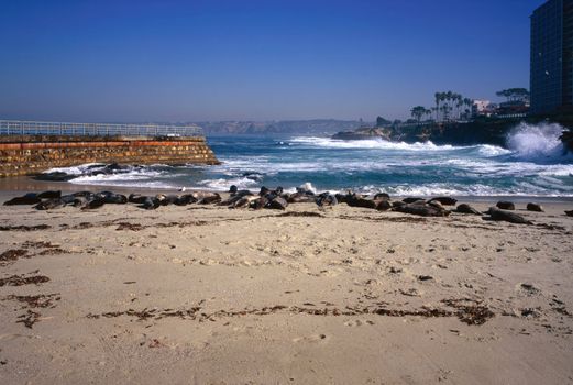 Seal Beach, California