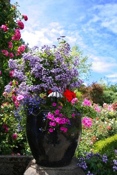 Colorful flower and vase in a flower garden.