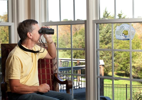 Senior man watching chickadee bird on birdfeeder through binoculars from chair