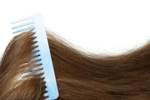 Hairbrush and long hair. It is isolated on a white background