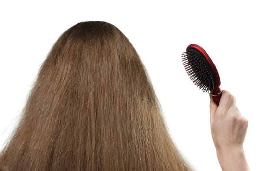 The girl with long hair and a hairbrush. The rear view. It is isolated on a white background