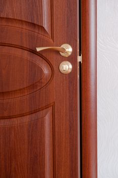 The door handle. A wooden door, brass handles.