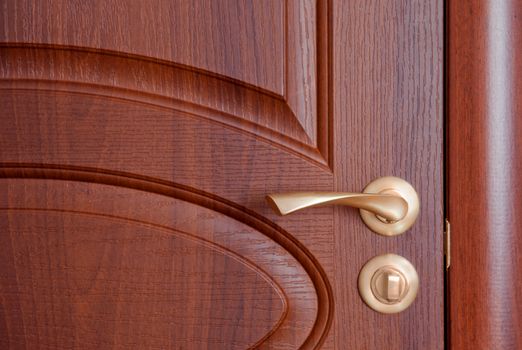 The door handle. A wooden door, brass handles.