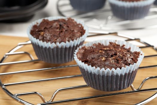Two chocolate cupcakes just out of the oven.