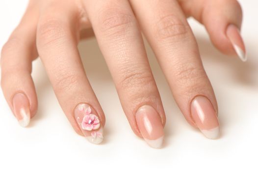 Manicure isolated on white. Well-groomed female hands with a decorative element - a flower