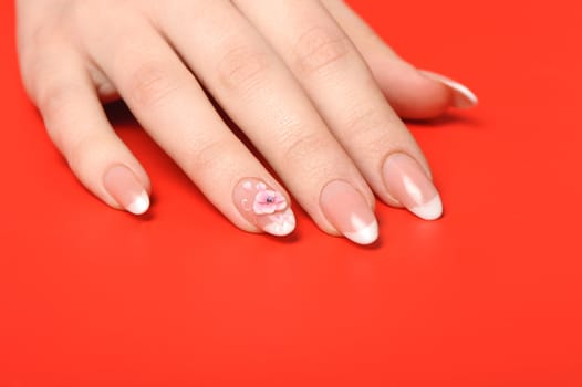 Manicure. Female hands on red background. Well-groomed female hands with a decorative element - a flower