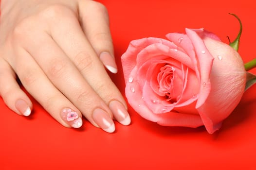 Manicure. Female hands on red background. Well-groomed female hands with a decorative element - a flower