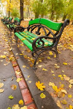 Autumn park. Rainy weather. The Lvov park