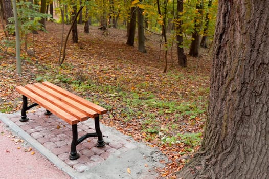 Autumn park. Rainy weather. The Lvov park