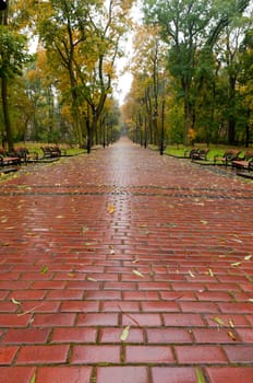 alleyway with paved road to autumn park. The Lvov park