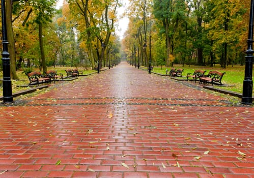 alleyway with paved road to autumn park. The Lvov park