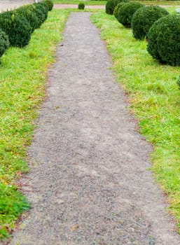 Footpath in park. The Lvov park