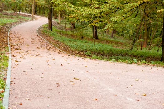 Footpath in autumn park. The Lvov park