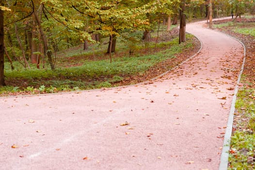 Footpath in autumn park. The Lvov park