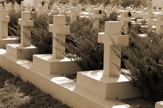 Military cemetery. Since its creation in 1787 Lychakiv Cemetery Lvov, Ukraine